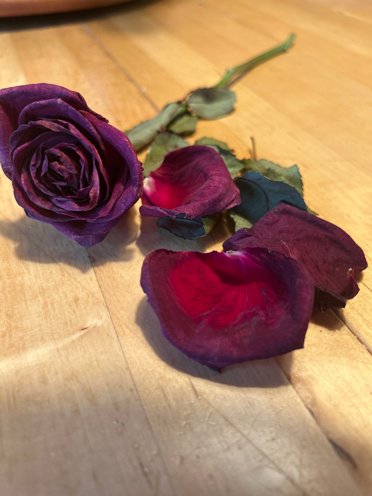 Roses Last a Week