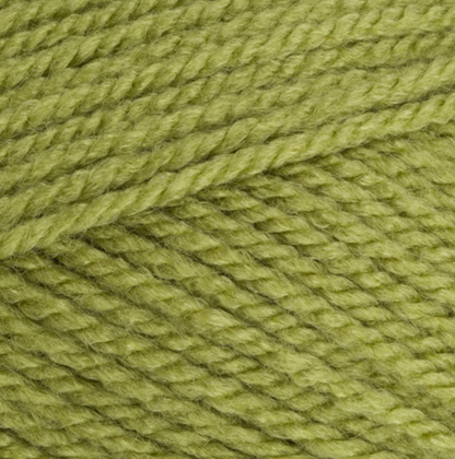 Stylecraft Special Aran