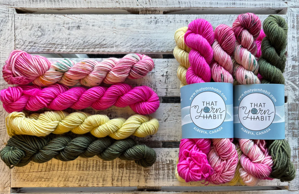 TYH  Mini Skein Set - February Gnomes