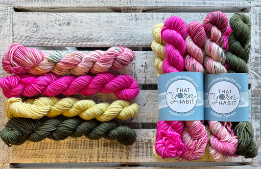 TYH  Mini Skein Set - February Gnomes