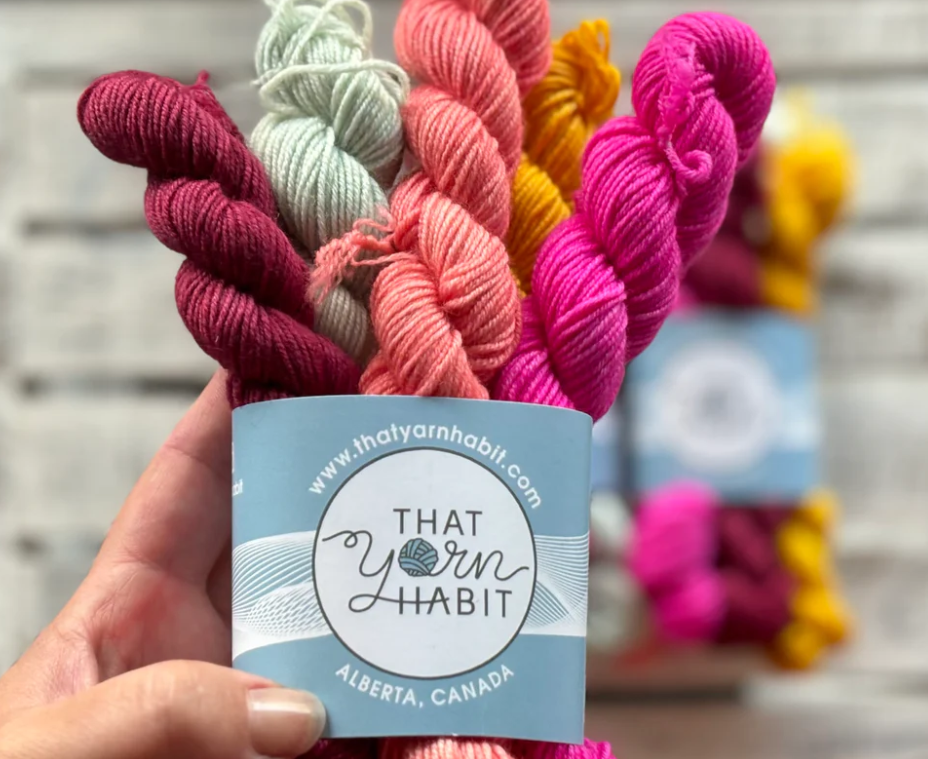 TYH  Mini Skein Set -  Front Porch View